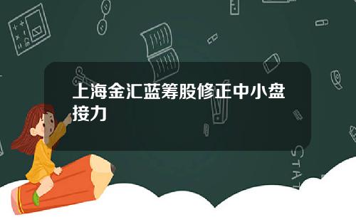 上海金汇蓝筹股修正中小盘接力