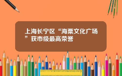上海长宁区“海粟文化广场”获市级最高荣誉