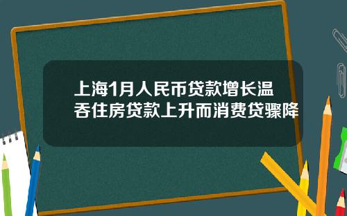 上海1月人民币贷款增长温吞住房贷款上升而消费贷骤降