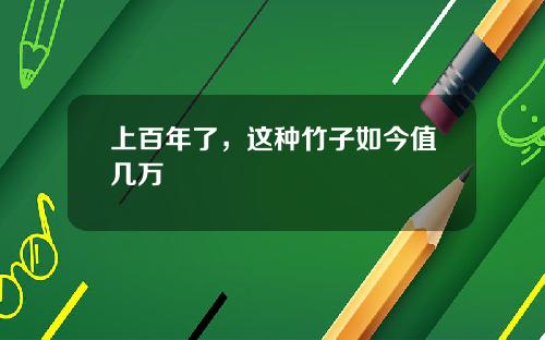 上百年了，这种竹子如今值几万