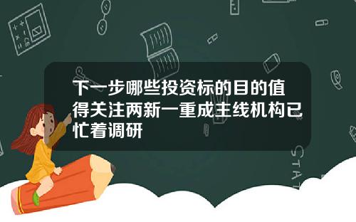 下一步哪些投资标的目的值得关注两新一重成主线机构已忙着调研
