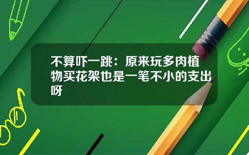 不算吓一跳：原来玩多肉植物买花架也是一笔不小的支出呀
