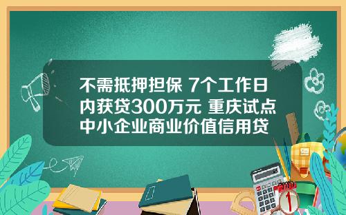 不需抵押担保 7个工作日内获贷300万元 重庆试点中小企业商业价值信用贷