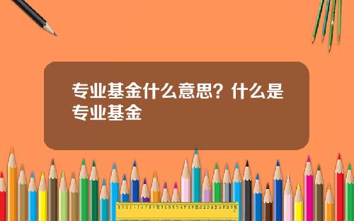 专业基金什么意思？什么是专业基金