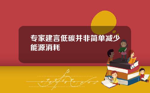 专家建言低碳并非简单减少能源消耗