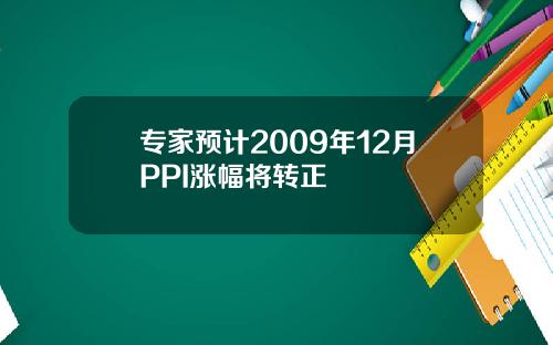 专家预计2009年12月PPI涨幅将转正