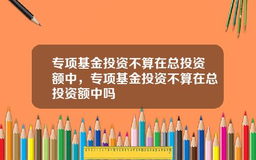 专项基金投资不算在总投资额中，专项基金投资不算在总投资额中吗