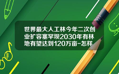 世界最大人工林今年二次创业扩容塞罕坝2030年有林地有望达到120万亩-怎样算股值最少要多少棵树苗呢