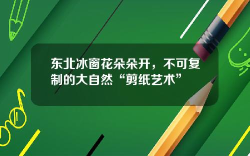 东北冰窗花朵朵开，不可复制的大自然“剪纸艺术”