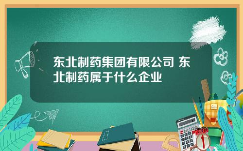 东北制药集团有限公司 东北制药属于什么企业
