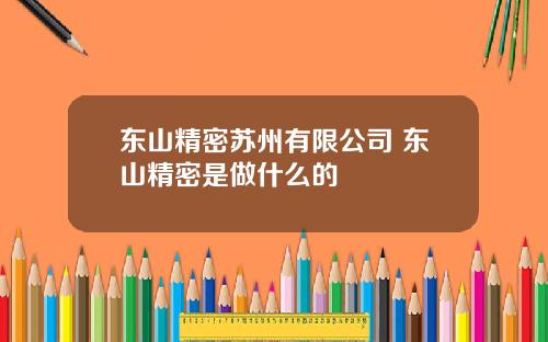 东山精密苏州有限公司 东山精密是做什么的