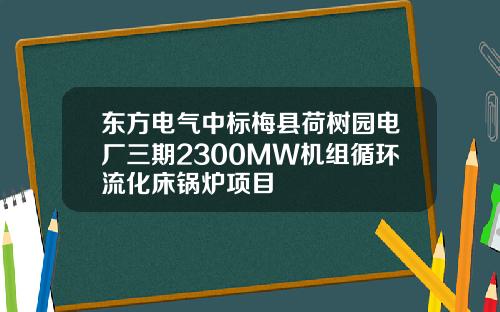 东方电气中标梅县荷树园电厂三期2300MW机组循环流化床锅炉项目