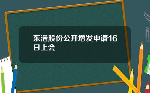 东港股份公开增发申请16日上会