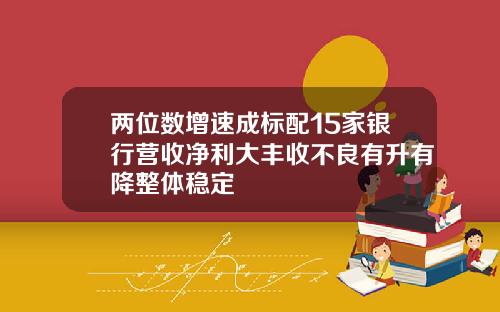 两位数增速成标配15家银行营收净利大丰收不良有升有降整体稳定