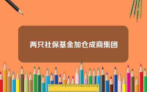 两只社保基金加仓成商集团