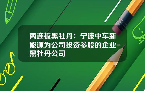 两连板黑牡丹：宁波中车新能源为公司投资参股的企业-黑牡丹公司
