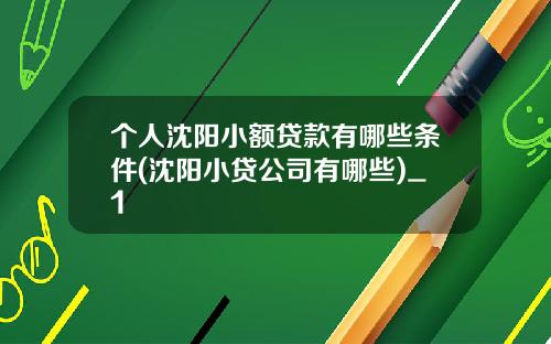 个人沈阳小额贷款有哪些条件(沈阳小贷公司有哪些)_1
