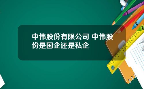 中伟股份有限公司 中伟股份是国企还是私企