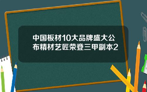 中国板材10大品牌盛大公布精材艺匠荣登三甲副本2