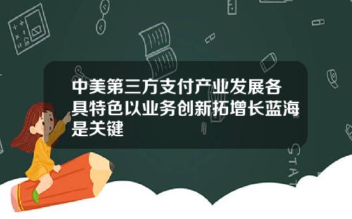 中美第三方支付产业发展各具特色以业务创新拓增长蓝海是关键