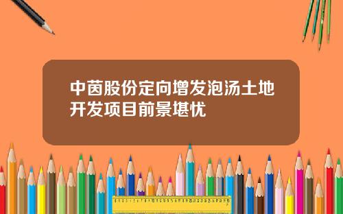中茵股份定向增发泡汤土地开发项目前景堪忧