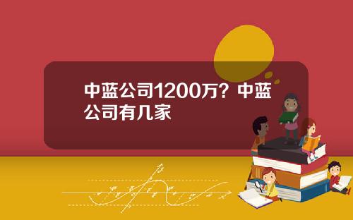 中蓝公司1200万？中蓝公司有几家