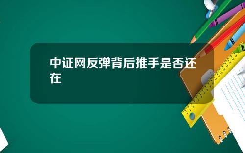 中证网反弹背后推手是否还在