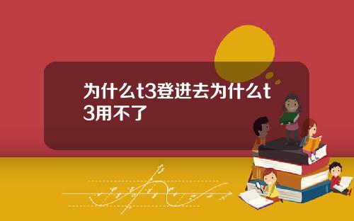 为什么t3登进去为什么t3用不了