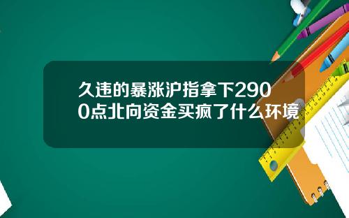 久违的暴涨沪指拿下2900点北向资金买疯了什么环境