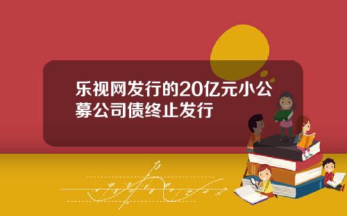 乐视网发行的20亿元小公募公司债终止发行