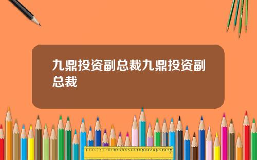 九鼎投资副总裁九鼎投资副总裁