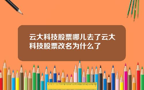 云大科技股票哪儿去了云大科技股票改名为什么了
