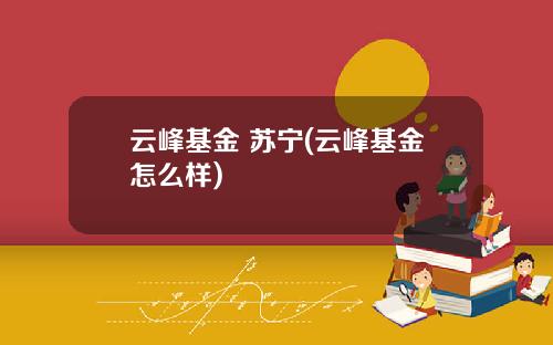 云峰基金 苏宁(云峰基金怎么样)