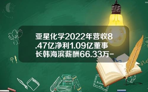 亚星化学2022年营收8.47亿净利1.09亿董事长韩海滨薪酬66.33万-潍坊亚星化学股份公司