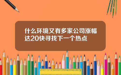 什么环境又有多家公司涨幅达20快寻找下一个热点