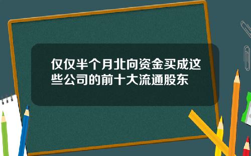 仅仅半个月北向资金买成这些公司的前十大流通股东