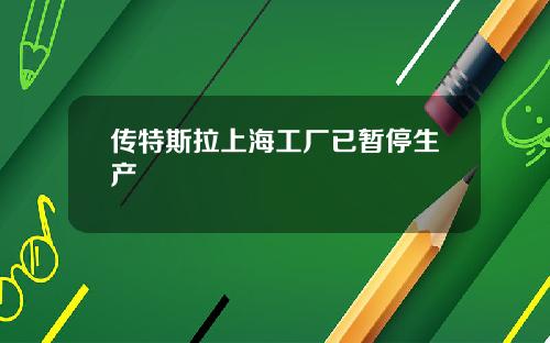 传特斯拉上海工厂已暂停生产
