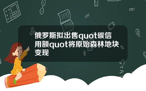 俄罗斯拟出售quot碳信用额quot将原始森林地块变现