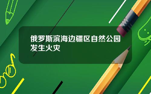 俄罗斯滨海边疆区自然公园发生火灾