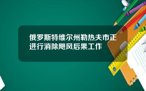 俄罗斯特维尔州勒热夫市正进行消除飓风后果工作