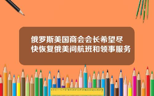 俄罗斯美国商会会长希望尽快恢复俄美间航班和领事服务
