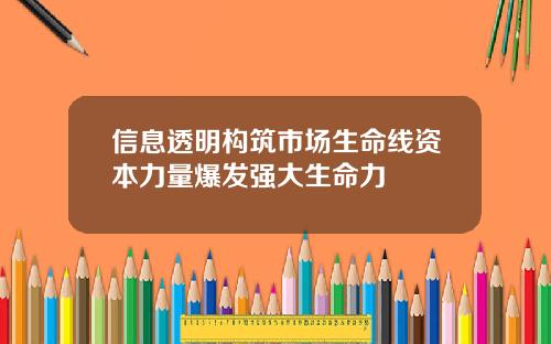 信息透明构筑市场生命线资本力量爆发强大生命力