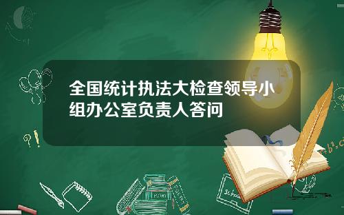 全国统计执法大检查领导小组办公室负责人答问