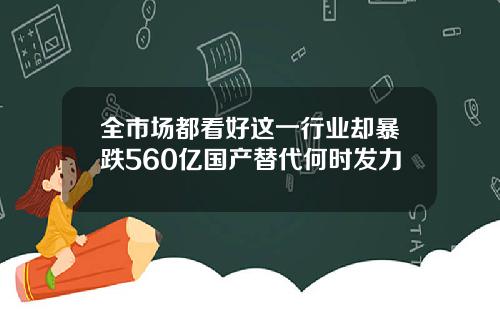 全市场都看好这一行业却暴跌560亿国产替代何时发力