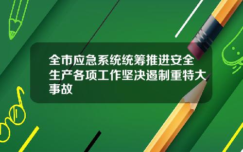 全市应急系统统筹推进安全生产各项工作坚决遏制重特大事故