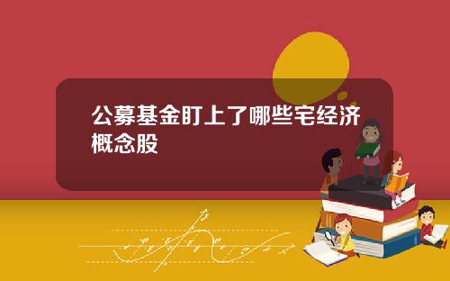 公募基金盯上了哪些宅经济概念股