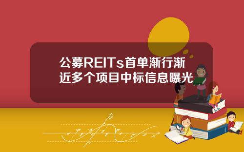 公募REITs首单渐行渐近多个项目中标信息曝光