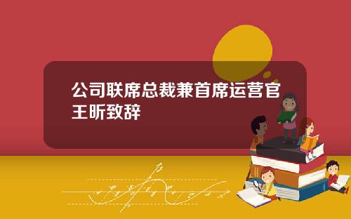公司联席总裁兼首席运营官王昕致辞