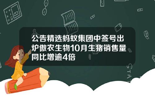 公告精选蚂蚁集团中签号出炉傲农生物10月生猪销售量同比增逾4倍