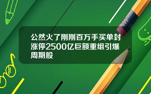 公然火了刚刚百万手买单封涨停2500亿巨额重组引爆周期股